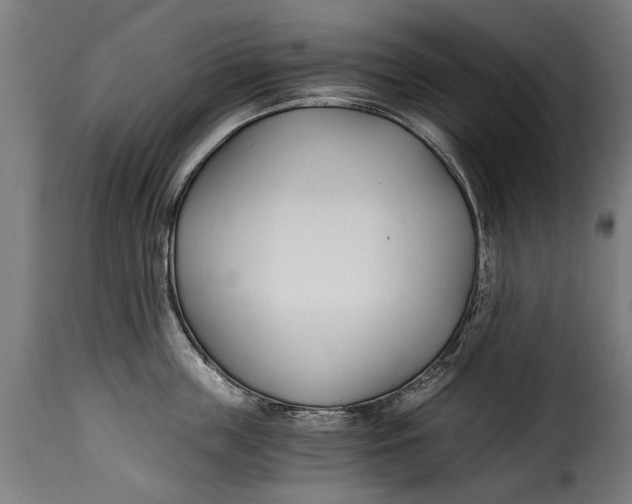 X0000115240859200911201618
