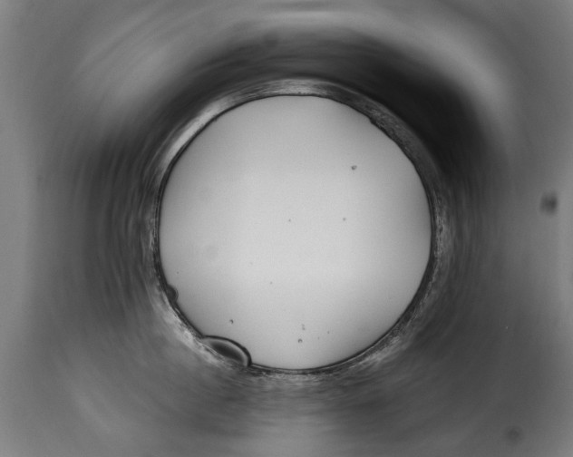 X0000115240860200911201618