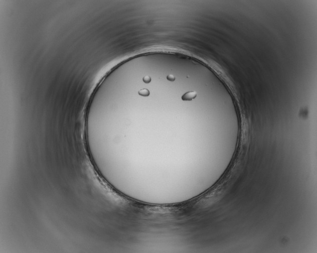 X0000115240862200911201618