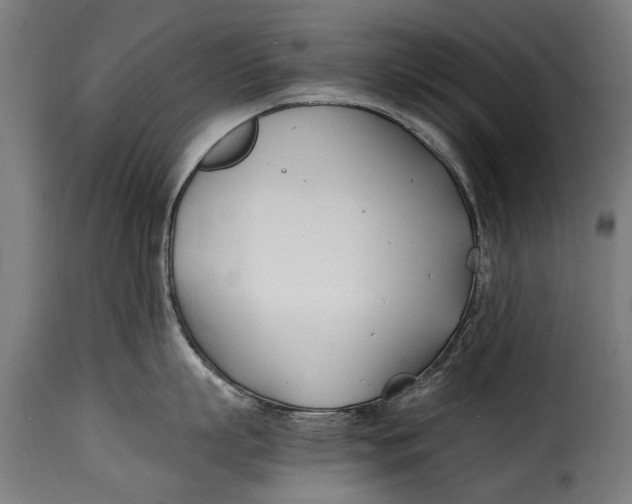 X0000115240863200911201619
