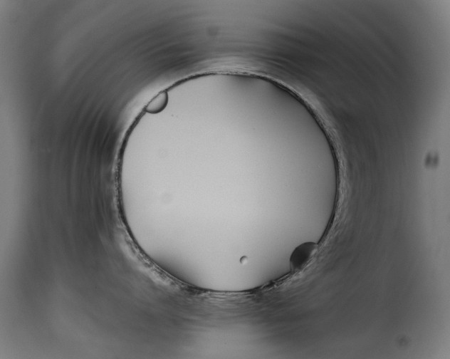 X0000115240864200911201619