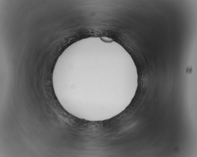 X0000115240865200911201618