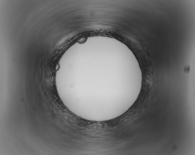 X0000115240869200911201618