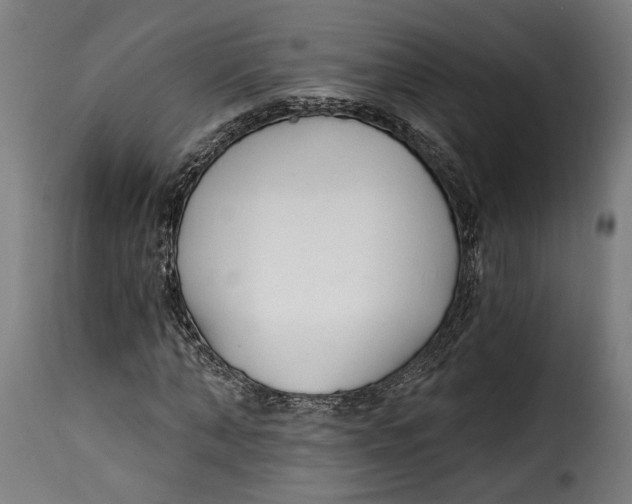 X0000115240870200911201618