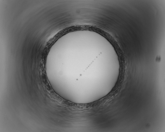 X0000115240871200911201618