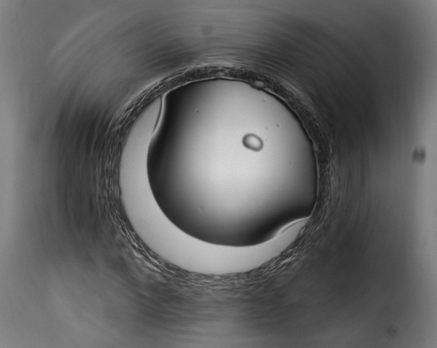 X0000115240872200911201618