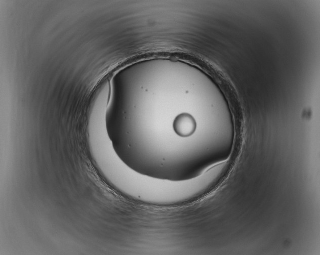 X0000115240873200911201618