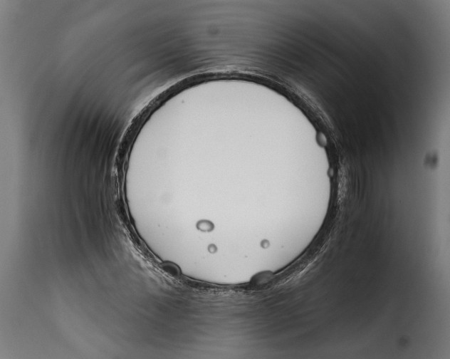 X0000115240876200911201618