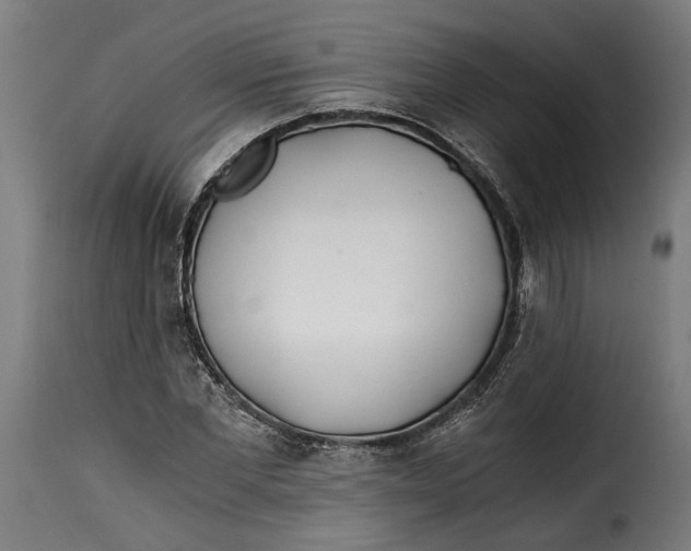 X0000115240877200911201618