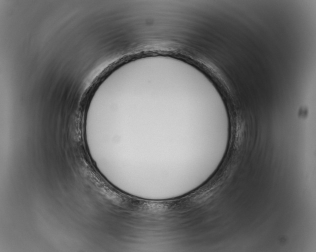 X0000115240878200911201618