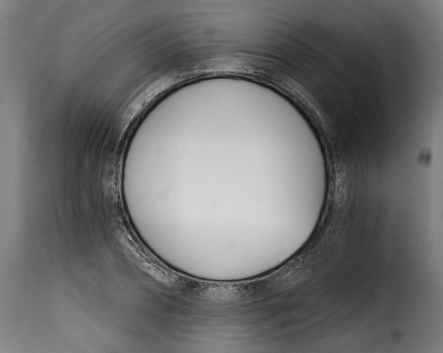 X0000115240882200911201618