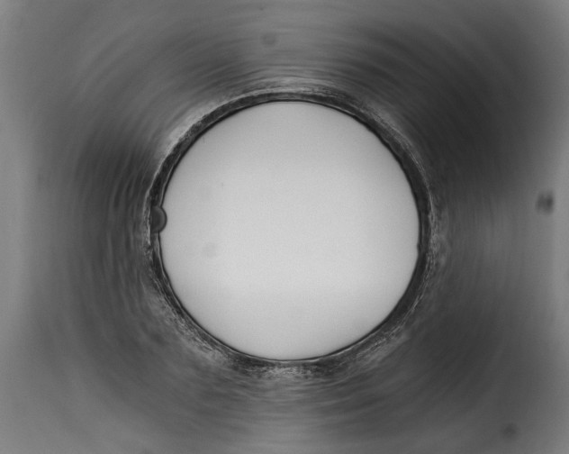 X0000115240883200911201618