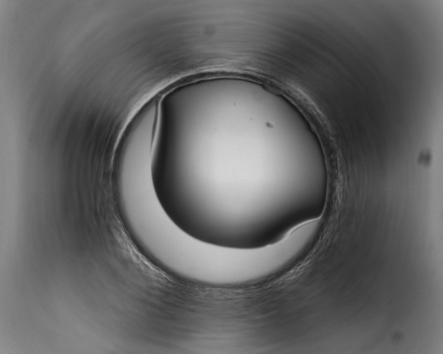 X0000115240884200911201618