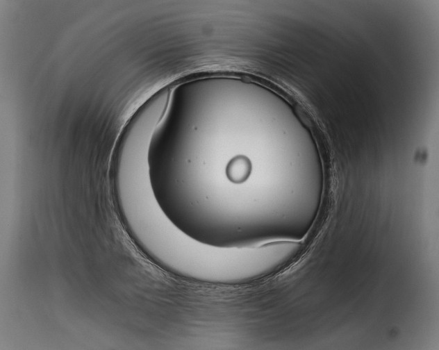 X0000115240885200911201618