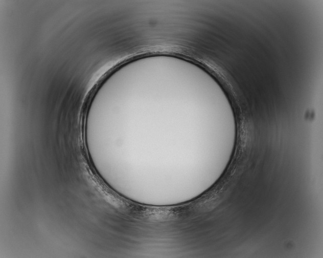 X0000115240886200911201618