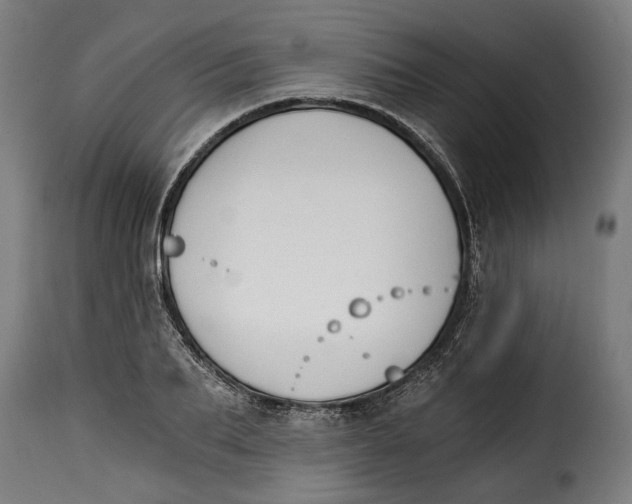 X0000115240887200911201618