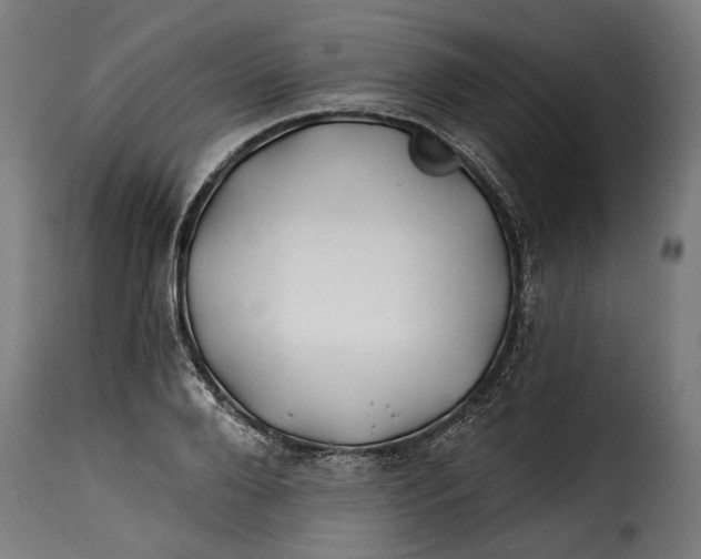 X0000115240888200911201618