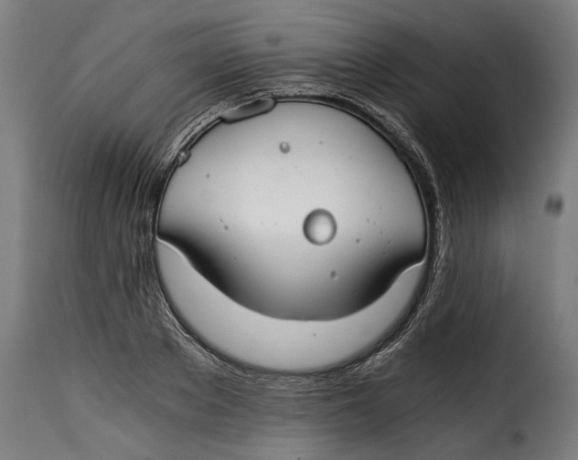 X0000115240889200911201618
