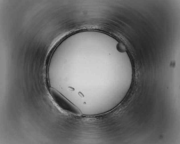 X0000115240894200911201617