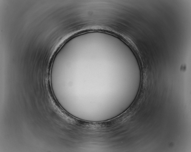 X0000115240895200911201617
