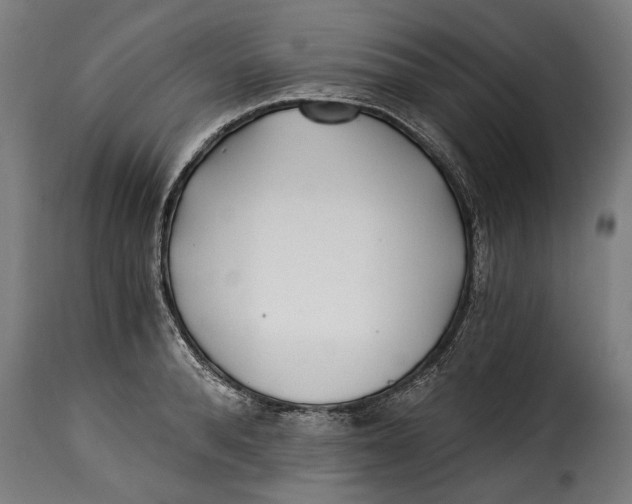 X0000115240896200911201617