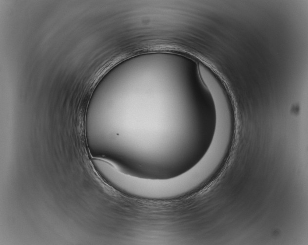 X0000115240897200911201617