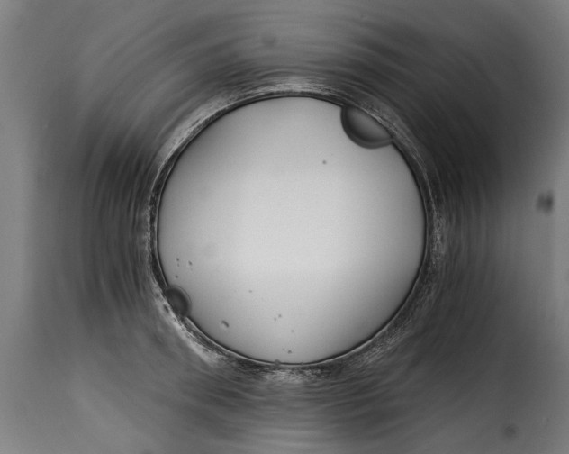 X0000115240898200911201617