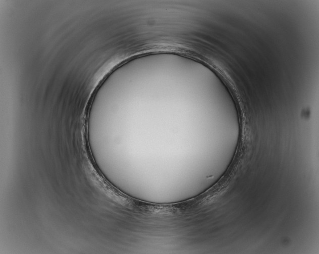 X0000115240899200911201617