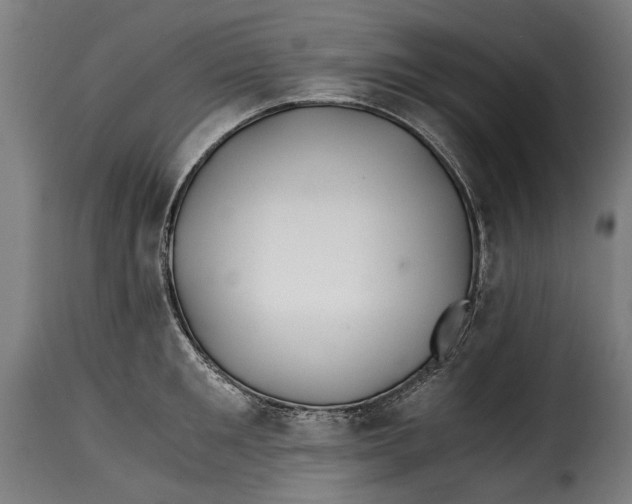 X0000115240901200911201617