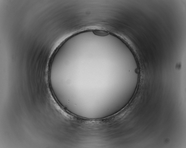 X0000115240902200911201617