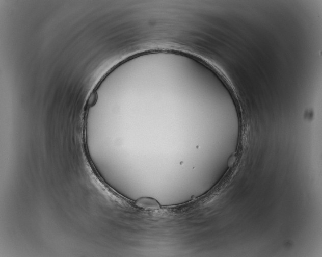 X0000115240903200911201617