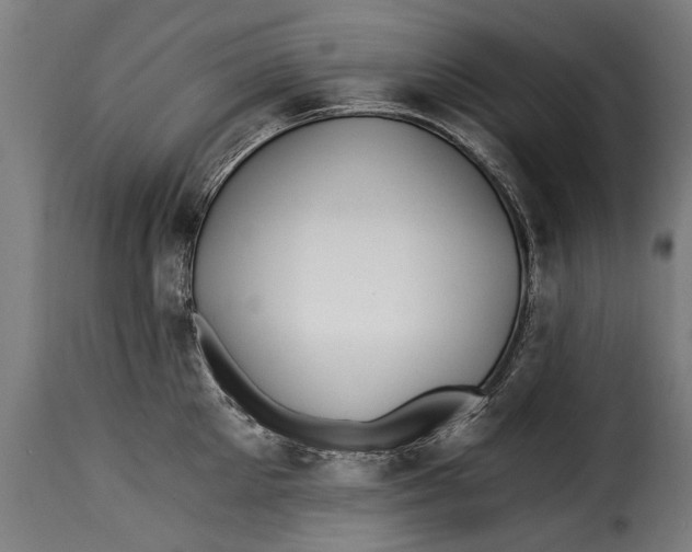 X0000115240905200911201617