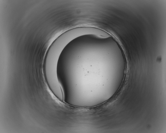 X0000115240909200911201617