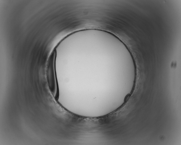 X0000115240912200911201617