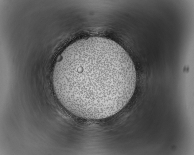 X0000115240913200911201617