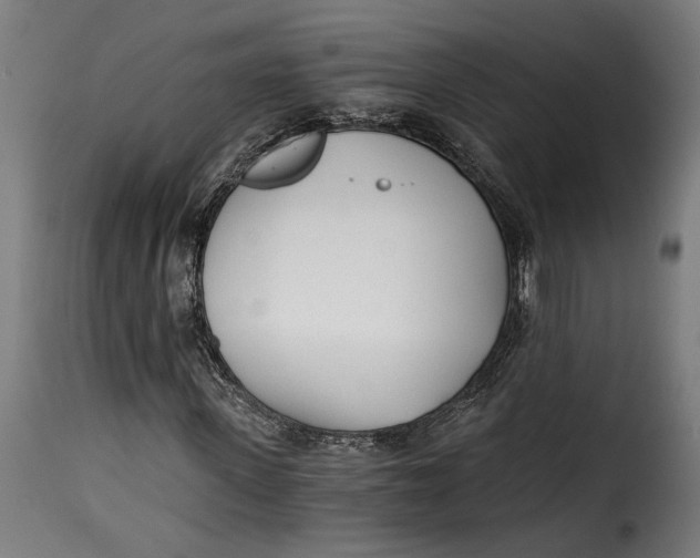 X0000115240915200911201617