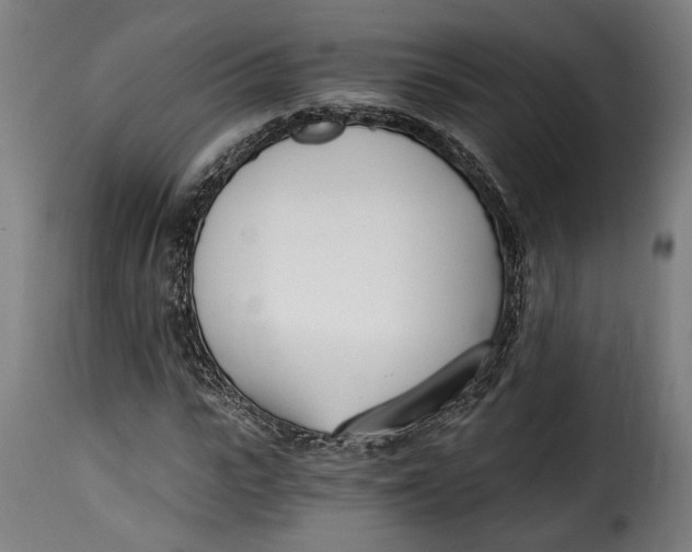 X0000115240919200911201617