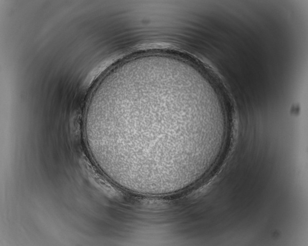 X0000115240921200911201617