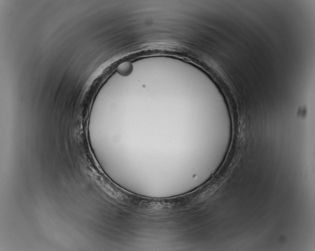 X0000115240923200911201617