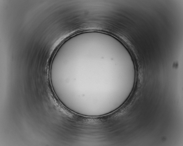X0000115240933200911201617