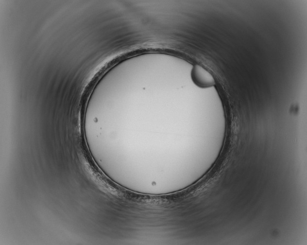 X0000115240934200911201617