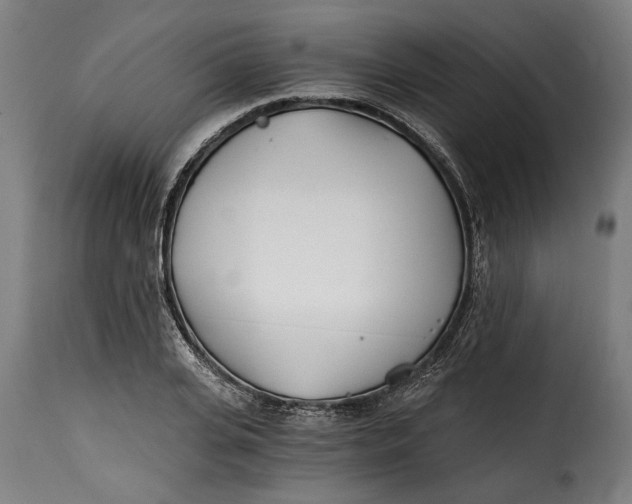 X0000115240935200911201617