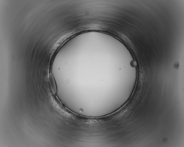 X0000115240938200911201617