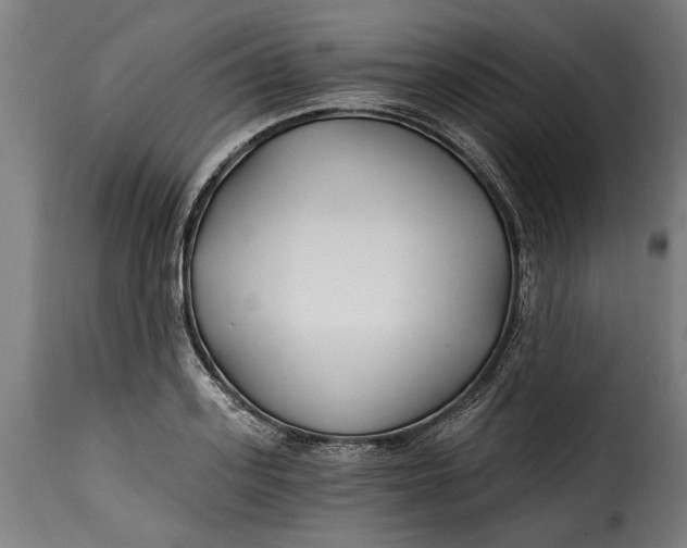 X0000115240939200911201617