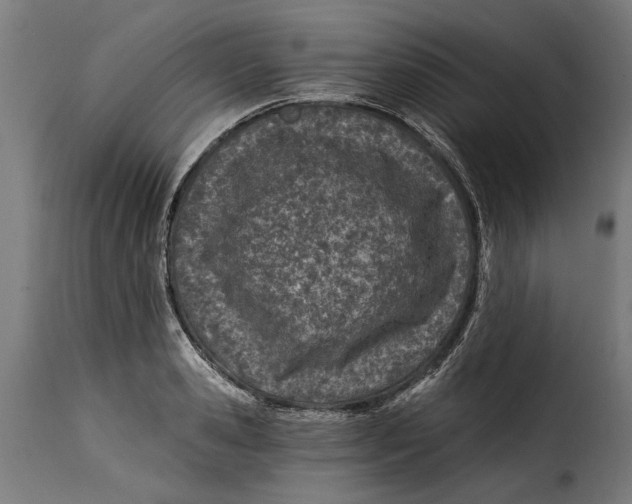 X0000115240941200911201617