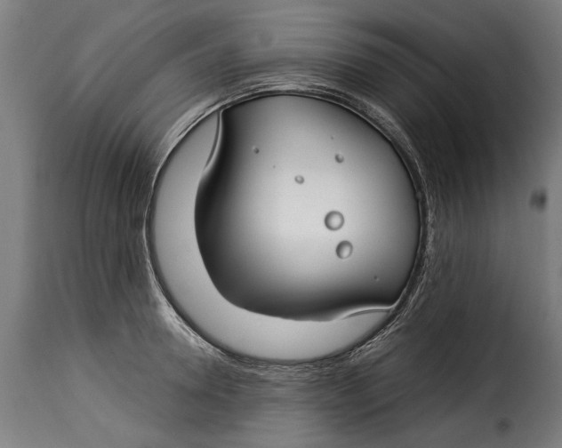 X0000115240946200911201617