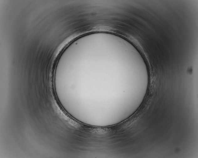 X0000115240947200911201617