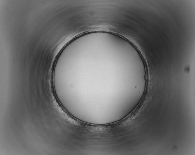X0000115240949200911201617