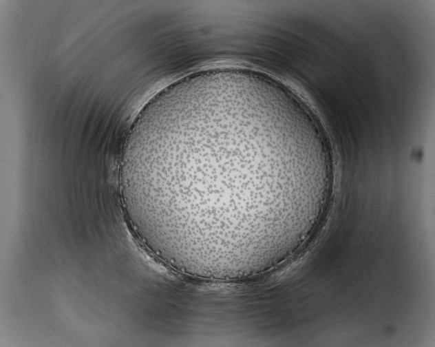 X0000115240953200911201617