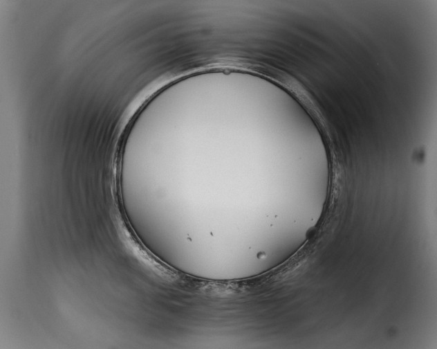 X0000115240955200911201617